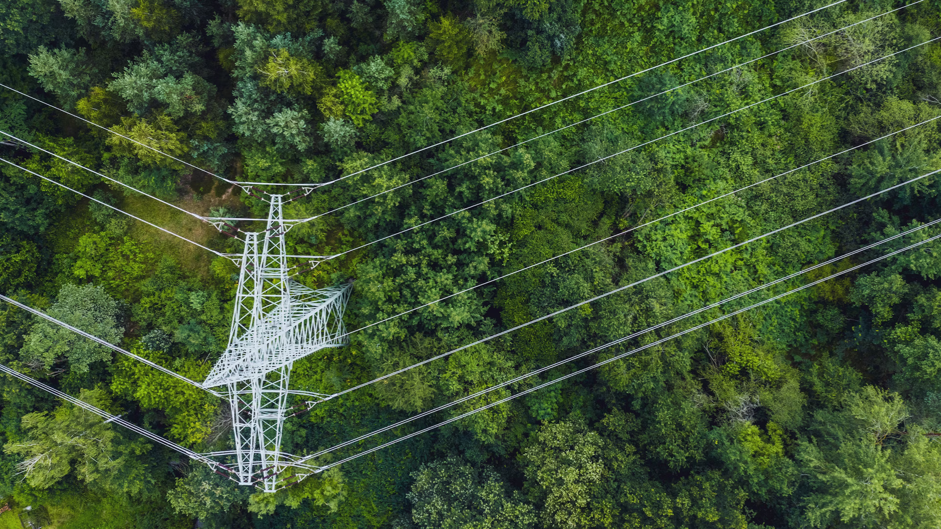 Power transmission towers. Image Credit: Flickr.
