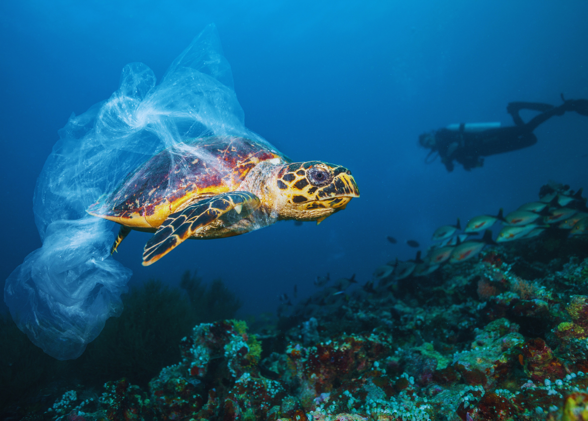 Each year, 100,000 marine animals and over 1 million seabirds die from ingesting plastic. Image Credit: Jakubgojda, Canva Pro. Each year, 100,000 marine animals and over 1 million seabirds die from ingesting plastic. Image Credit: Jakubgojda, Canva Pro.