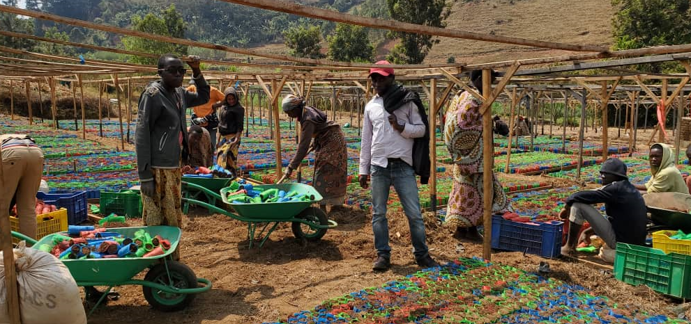 2. Burundi Tree Nursey – One of One Acre Fund’s 40 farmer-led tree nurseries in rural Burundi 2. Burundi Tree Nursey – One of One Acre Fund’s 40 farmer-led tree nurseries in rural Burundi