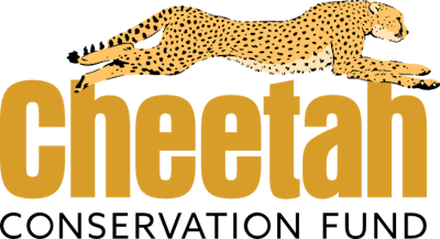Cheetah Conservation Fund (CCF)