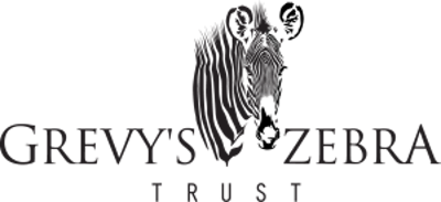 Grevy's Zebra Trust
