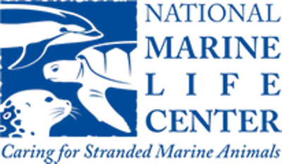 National Marine Life Center