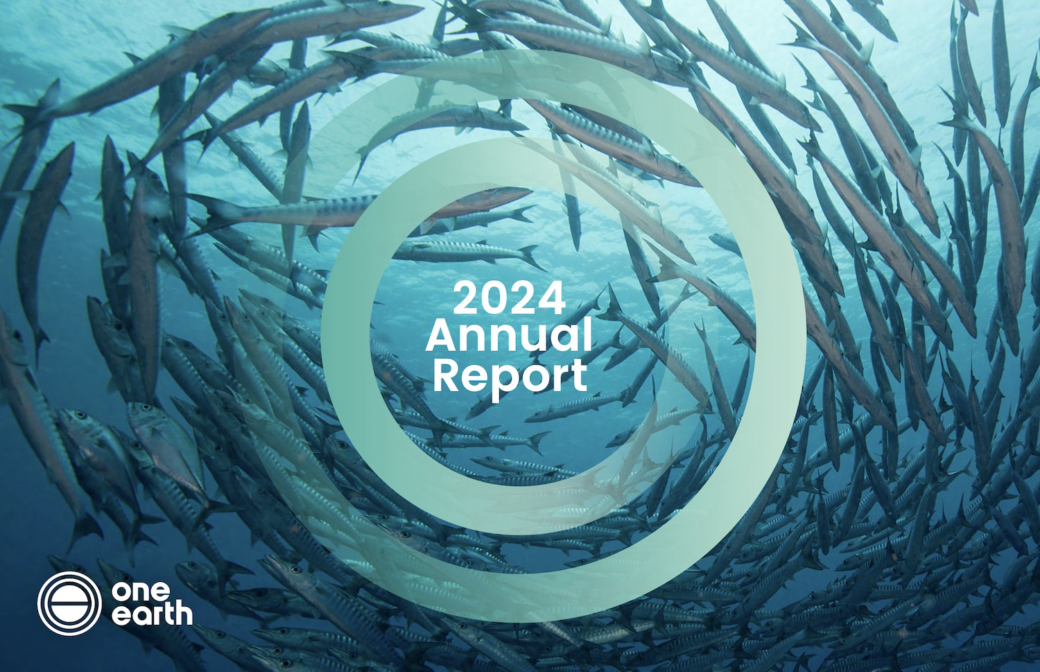 2024 Annual Report | One Earth