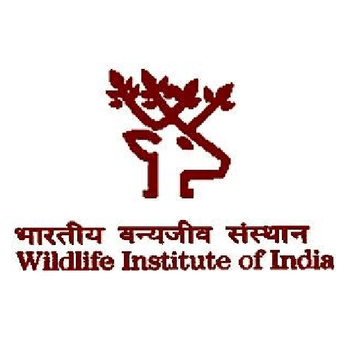 Wildlife Institute of India